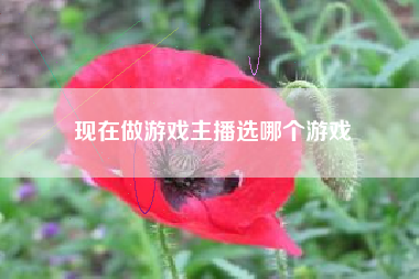 现在做游戏主播选哪个游戏