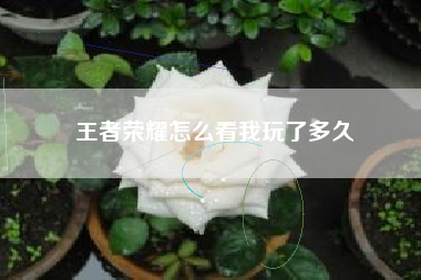 王者荣耀怎么看我玩了多久