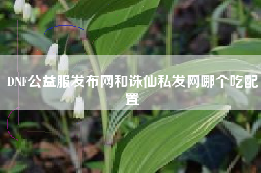 DNF公益服发布网和诛仙私发网哪个吃配置