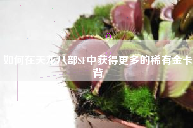 如何在天龙八部SF中获得更多的稀有金卡背