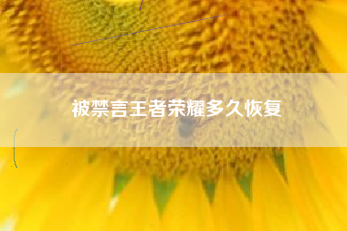 被禁言王者荣耀多久恢复