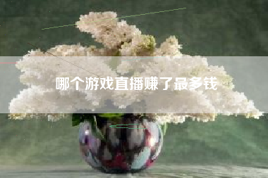 哪个游戏直播赚了最多钱