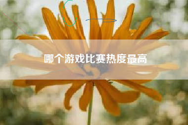 哪个游戏比赛热度最高