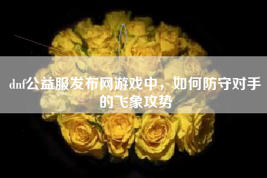 dnf公益服发布网游戏中，如何防守对手的飞象攻势