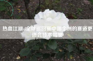 热血江湖sf全球巡回赛中哪个洲的赛道更适合技术驾驶