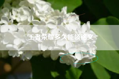 王者荣耀多久能领铭文