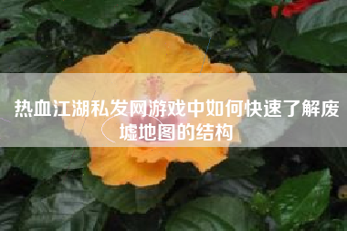 热血江湖私发网游戏中如何快速了解废墟地图的结构