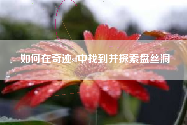 如何在奇迹sf中找到并探索盘丝洞