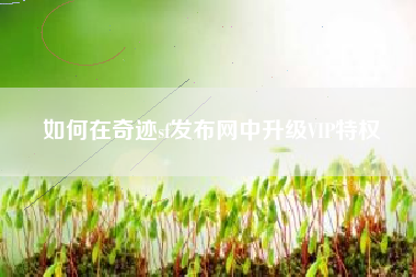 如何在奇迹sf发布网中升级VIP特权