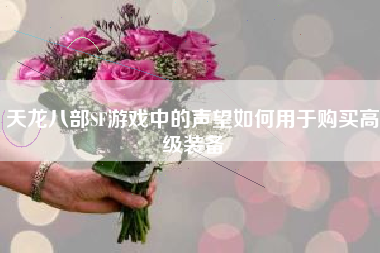 天龙八部SF游戏中的声望如何用于购买高级装备