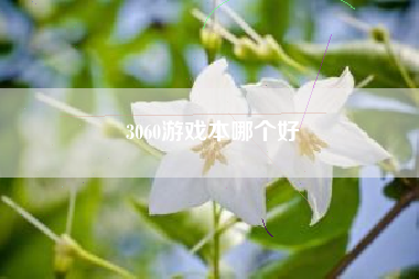 3060游戏本哪个好