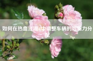 如何在热血江湖sf中调整车辆的后驱力分配