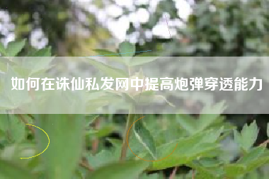 如何在诛仙私发网中提高炮弹穿透能力