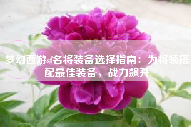 梦幻西游sf名将装备选择指南：为将领搭配最佳装备，战力飙升