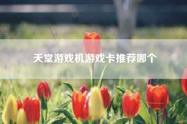 天堂游戏机游戏卡推荐哪个
