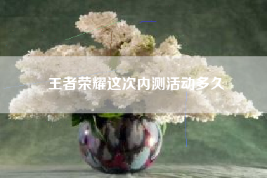 王者荣耀这次内测活动多久