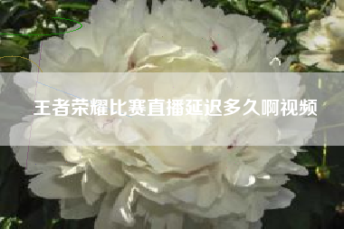 王者荣耀比赛直播延迟多久啊视频