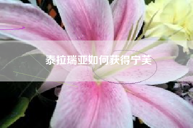 泰拉瑞亚如何获得宁芙