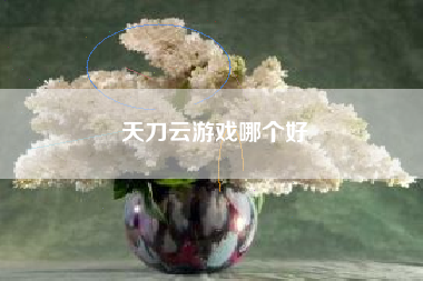 天刀云游戏哪个好