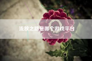 流放之路是哪个游戏平台