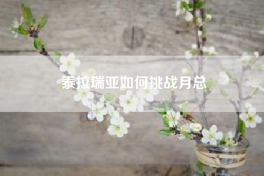泰拉瑞亚如何挑战月总