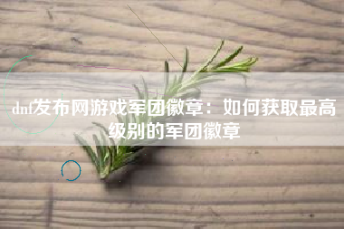 dnf发布网游戏军团徽章：如何获取最高级别的军团徽章