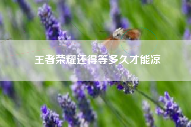 王者荣耀还得等多久才能凉
