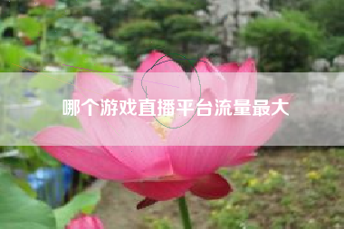哪个游戏直播平台流量最大