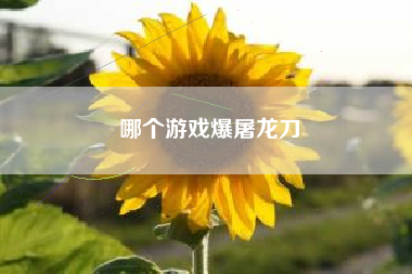 哪个游戏爆屠龙刀
