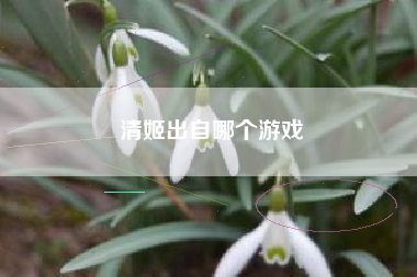 清姬出自哪个游戏