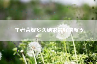 王者荣耀多久结束最好的赛季