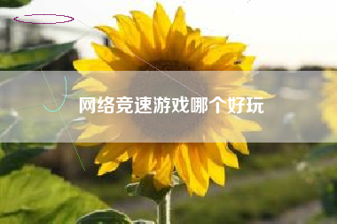 网络竞速游戏哪个好玩