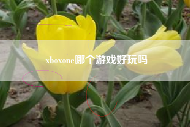 xboxone哪个游戏好玩吗