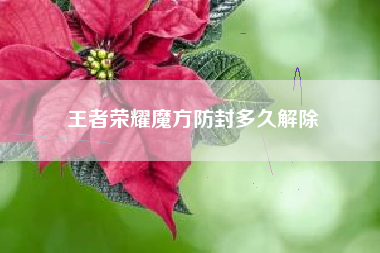 王者荣耀魔方防封多久解除