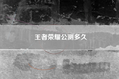 王者荣耀公测多久
