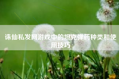 诛仙私发网游戏中的坦克弹药种类和使用技巧