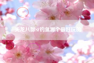 天龙八部SF钓鱼哪个最好玩的