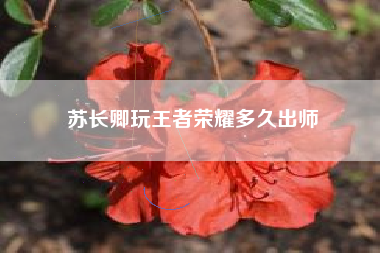 苏长卿玩王者荣耀多久出师