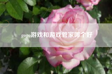 gogo游戏和游戏管家哪个好
