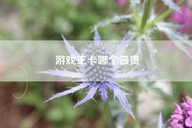游戏王卡哪个最贵