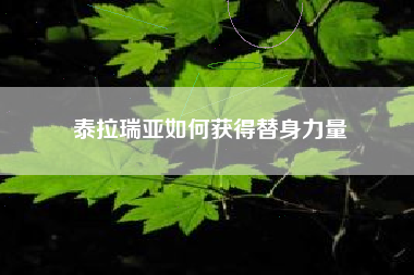 泰拉瑞亚如何获得替身力量