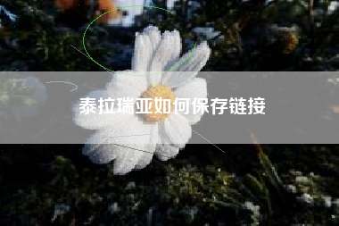 泰拉瑞亚如何保存链接