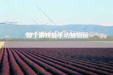 哪个游戏能手动抽烟玩