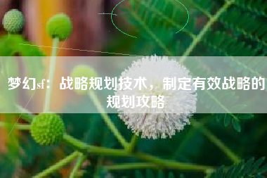 梦幻sf：战略规划技术，制定有效战略的规划攻略