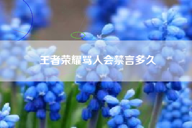 王者荣耀骂人会禁言多久