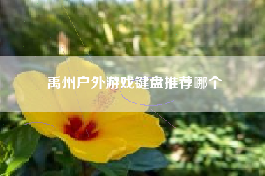 禹州户外游戏键盘推荐哪个