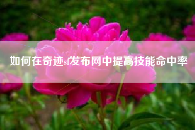 如何在奇迹sf发布网中提高技能命中率