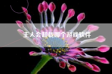 主人会卸载哪个游戏软件