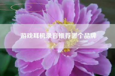 游戏耳机录音推荐哪个品牌
