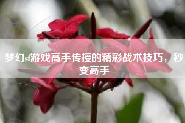 梦幻sf游戏高手传授的精彩战术技巧，秒变高手